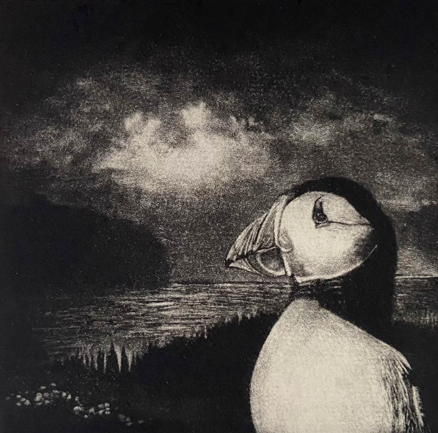 Susan Davies: Susan Davies mezzotints and atmospheric and dark. Susan's Mezzotints are black and white. This original print depicts a Puffin against a dramatic sea and landscape.