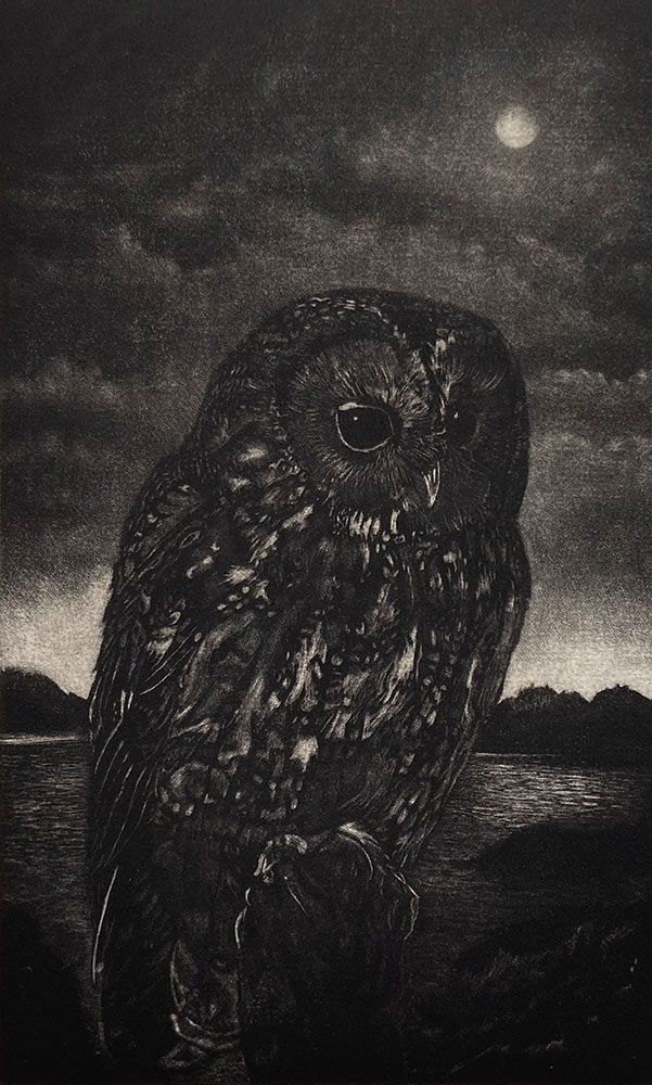 Susan Davies: Susan Davies mezzotints and atmospheric and dark. Susan's Mezzotints are black and white. This original print depicts a reflective Tawney Owl, against a dramatic landscape.