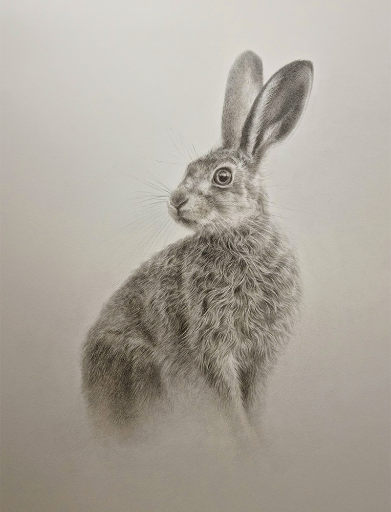 Collette Hoefkens original art. Collette Hoefkens at Norton Way Gallery Hertfordshire.