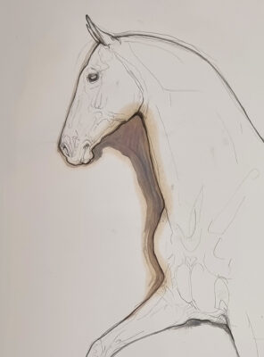Susan Leyland: Susan Leyland at Norton Way Gallery. This beautiful drawing from Susan Leyland is created in graphite pencil and watercolour. It depicts a beautiful horse striding to the left.