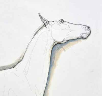 Susan Leyland: Susan Leyland at Norton Way Gallery. This beautiful drawing from Susan Leyland is created in graphite pencil and watercolour. It depicts a beautiful horse at rest facing to the right
