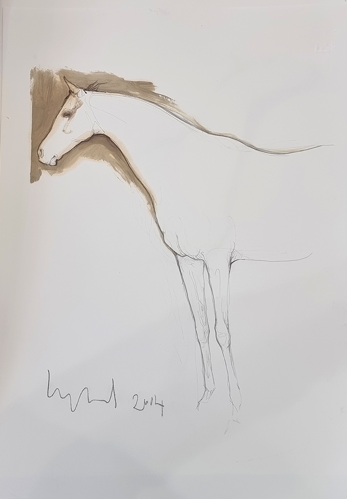 Susan Leyland: Susan Leyland at Norton Way Gallery. This beautiful drawing from Susan Leyland is created in graphite pencil and watercolour. It depicts a beautiful horse at rest facing to the left.