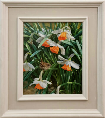 Andrew Tewson at Norton Way Gallery, Hertfordshire. This original artwork by British artist, Andrew Tewson is painted in oils. It depicts a tiny wren, nestled among white and orange dafodills. This original painting is framed in a hand painted, off white frame.