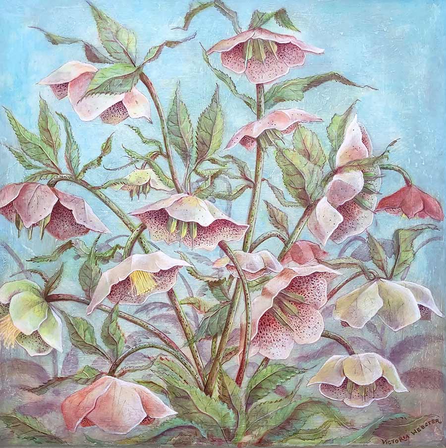 Victoria Webster: Victoria Webster acrylic painting. Beautiful freckled Hellebore flowers.