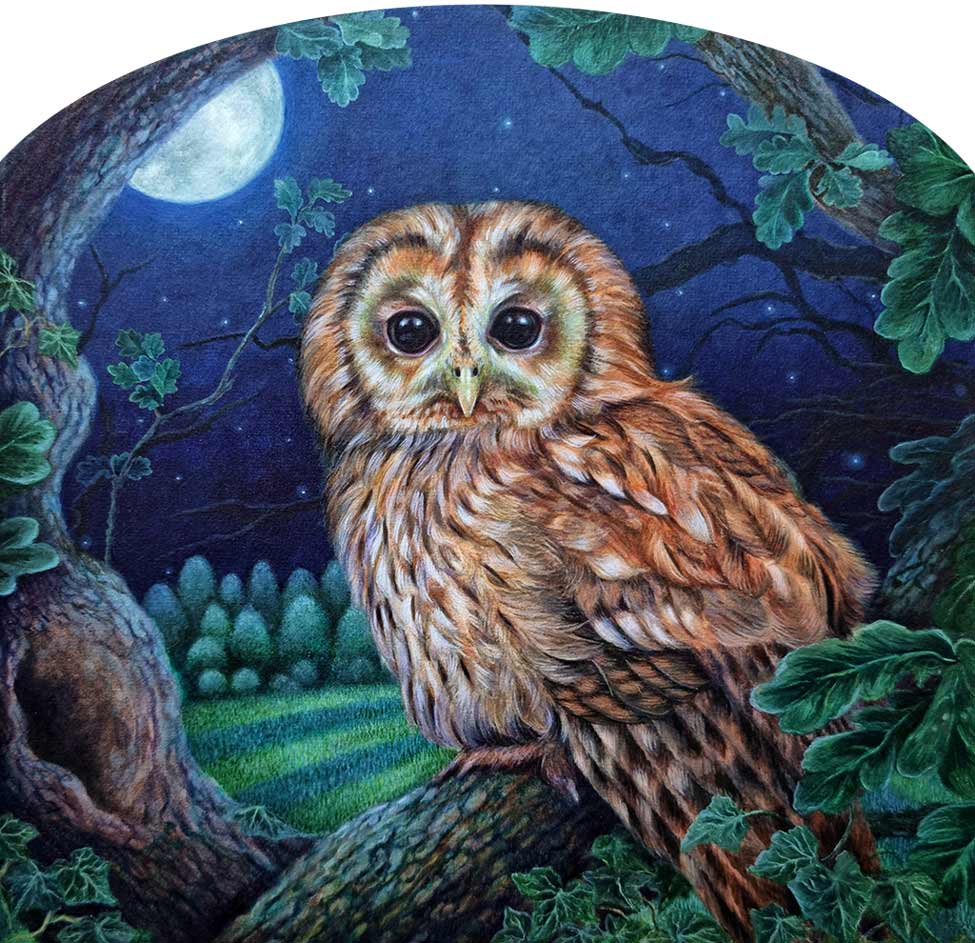 Collette Hoefkens: Collette Hoefkens original art. This beautiful painting from Collette Hoefkens is an original Watercolour painting. It a portrait of a Beautiful Tawney Owl at night in moon light.