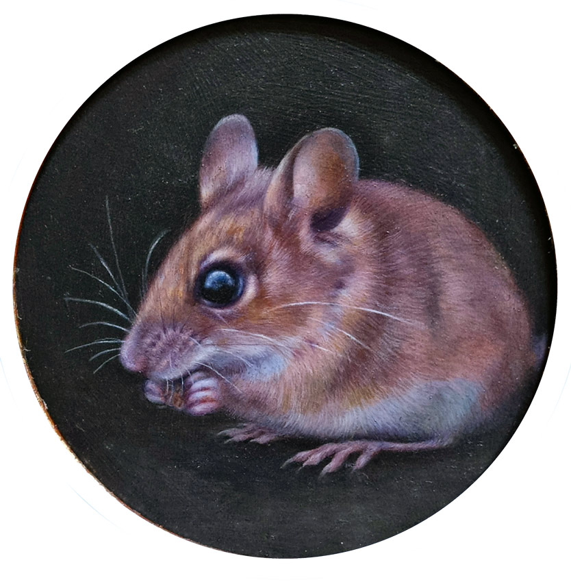 Collette Hoefkens: Collette Hoefkens artist at Norton Way Gallery Hertfordshire. This is an original work of art from Collette Hoefkens. This is an original oil painting. It depicts a small Wood mouse in a round frame.