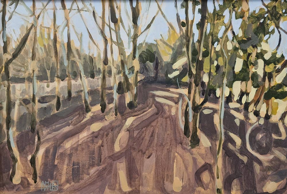 Morning Light on the Edge .........