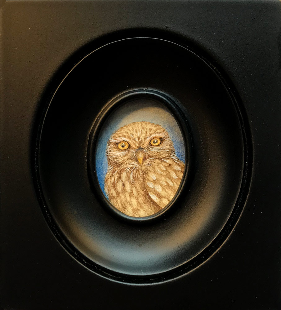 Valerie Greeley RMS: Valerie Greeley RMS miniatures at Norton Way Gallery. Beautiful watercolour paintings, in miniature.