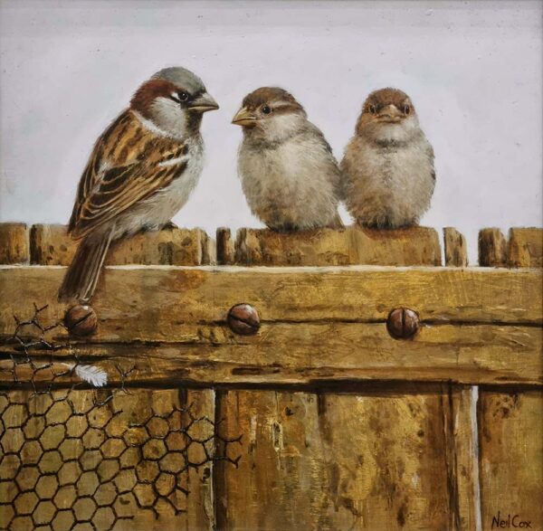 Neil Cox oil painting at Norton Way Gallery Hertfordshire. House Sparrows on a Fence.