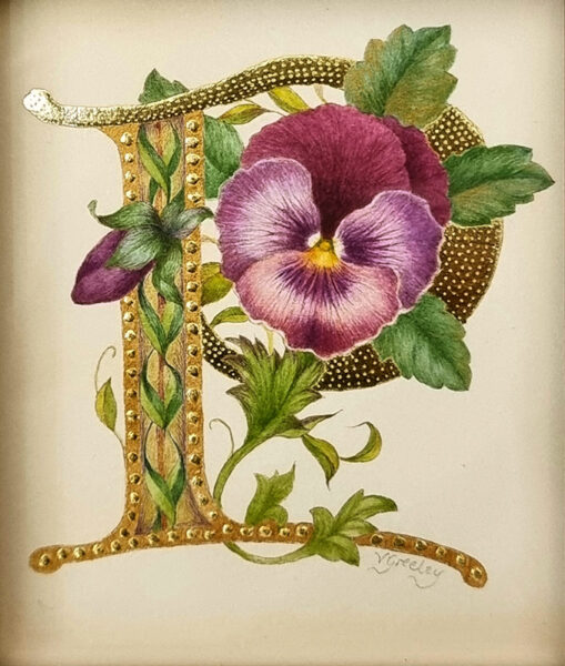 Valerie Greeley: Valerie Greeley R.M.S, H.S, at Norton Way Gallery Hertfordshire. A beautiful Miniature watercolour from Royal Miniature Society full member, Valerie Greeley. This is an intricate, rich and delicately painted Valerie Greeley original piece of art. The painting depicts a golden letter P, with a beautiful plum coloured Pansy.