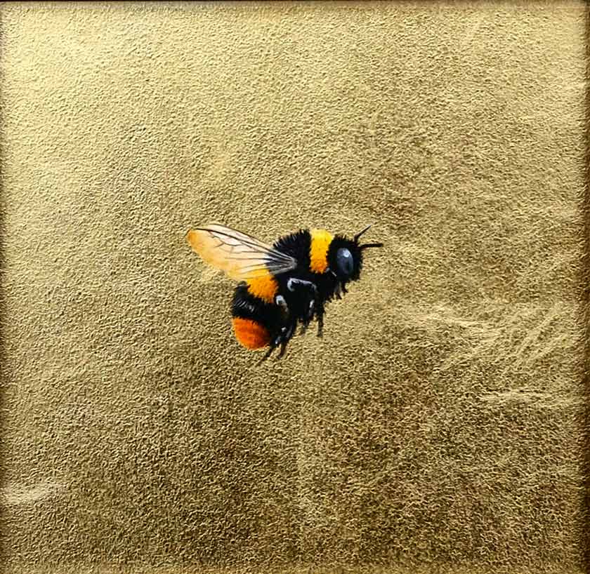 Early Bumble Bee II