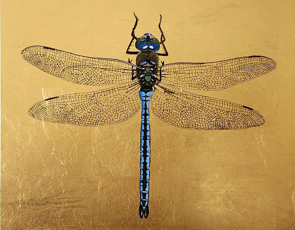 Clive Meredith at Norton Way Gallery Hertfordshire. Beautiful, original oil and gold leaf botanical painting.