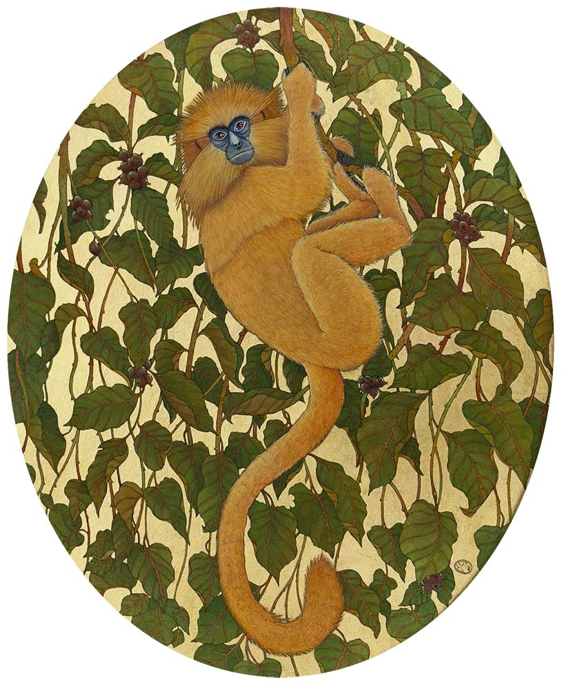 Golden Langur