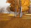 This etching and aquatint by artist Phil Greenwood shows vibrant amber colours as the light hits the trees.