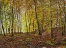 Miniature Watercolour from Rosalind Pierson. This beautiful original miniature watercolour from Rosalind Piersona depicts Beech trees in autumn glory. Exhibited at Norton Way Gallery, Hertfordshire.