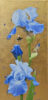 Clive Meredith: Oil and Gold leaf painting