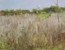 Karl Heerdt: Karl Heerdt at Norton Way Gallery. This beautiful original painting of an American landscape is by USA artist Karl Heerdt. It depicts a meadow with Cattail grasses in a palette of greens and browns.