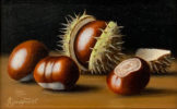 Four Horse Chestnuts by Anne Songhurst. This original oil painting from Anne Songhust depicts four conkers with their shells open in halves. It is exhibited at Norton Way Gallery Hertfordshire.