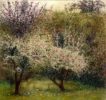 Extravagance of Spring by Jo Barry RE. This beautiful etching from Jo Barry RE depicts a secret orchard in bloom.