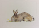 Watercolour by Heather Orton at Norton Way Gallery, Hertfordshire