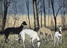 Tim Southall at Norton Way Gallery, Hertfordshire. This original artwork by British artist, Tim Southall is an original etching. It depicts four sight hound dogs walking together, in a tree lined landscape.
