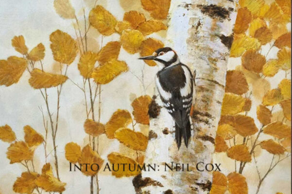 Into-Autumn-Neil