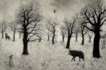 Tim Southall at Norton Way Gallery, Hertfordshire. This original artwork by British artist, Tim Southall is an original etching. It depicts a dark, Lone Wolf, walking a winter landscape.
