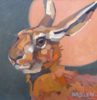 Andrew Haslen; this beautiful original artwork from Andrew Haslen is painted in oil. It depicts a young hare against a deep pink moon. It is exhibited at Norton Way Gallery.