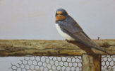 This beautiful oil painting by wildlife artist Neil Cox shows a bird perching on fence.