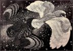 Colin See-Paynton, at Norton Way Gallery, Hertfordshire. This original artwork by British artist, Colin See-Paynton is an original artist's woodengraving. It depicts two owls passing each other, in flight, at night.