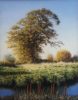 Oil on Linen by Anne Songhurst at Norton Way Gallery, Hertfordshire