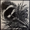 Colin See-Paynton, at Norton Way Gallery, Hertfordshire. This original artwork by British artist, Colin See-Paynton is an original artist's woodengraving. It depicts a detailed black and white study of a Pheasants feather.