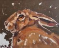Andrew Haslen at Norton Way Gallery, Hertfordshire. This original artwork by British artist, Andrew Haslen is painted in oils. It depicts a close up portrait of a Brown Hare.