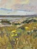 Georgie Watson: Georgie Watson original artwork. This original oil painting is a Georgie Watson coastal en plein air painting. It depicts a view of sand dunes, yellow wild flowers and a distant shore.