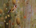 This beautiful oil painting is an example of wildlife artist Neil Cox's finest work showing a Goldfinch in a summer meadow.