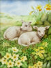 Two-Cumberland-Lambs-Unframed