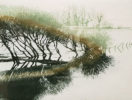Etching by Jo Barry RE at Norton Way Gallery, Hertfordshire