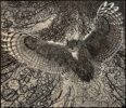 Colin See-Paynton, at Norton Way Gallery, Hertfordshire. This original artwork by British artist, Colin See-Paynton is an original artist's woodengraving. It depicts a detailed black and white study of a Long-eared owl swooping down.