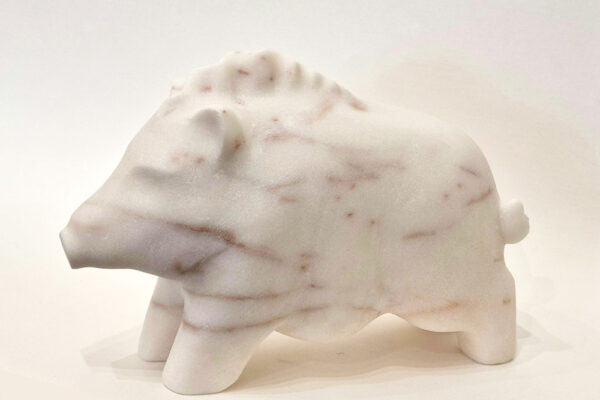 Wild-Boar-2